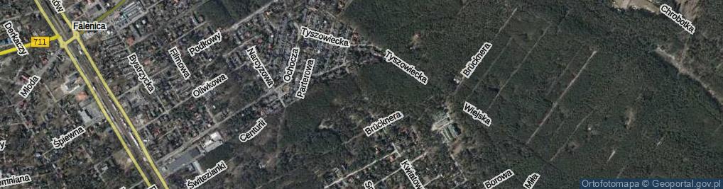 Zdjęcie satelitarne Nachyłkowa ul.