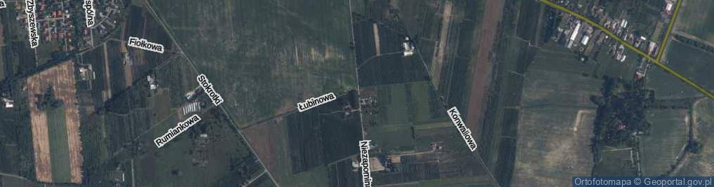 Zdjęcie satelitarne Niezapominajki ul.