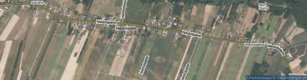 Zdjęcie satelitarne Niedośpielin ul.
