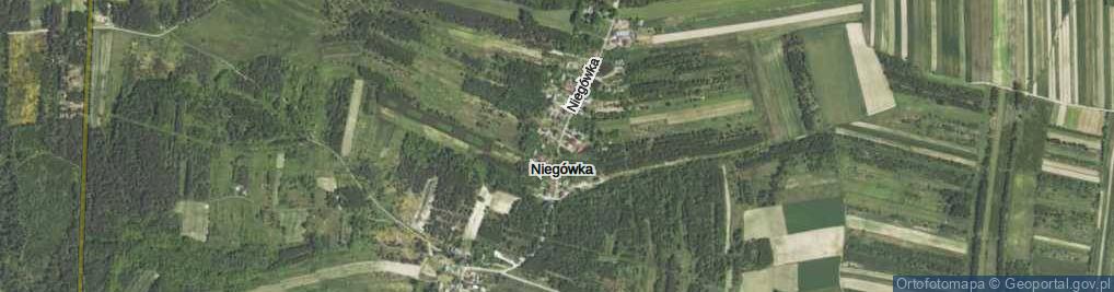 Zdjęcie satelitarne Niegówka ul.