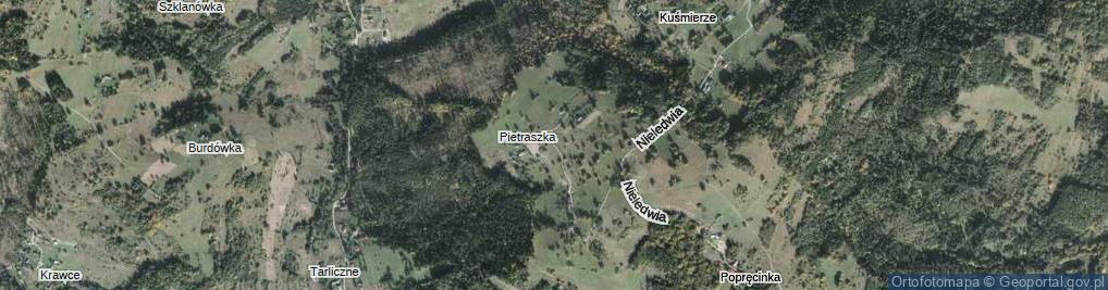 Zdjęcie satelitarne Nieledwia-Pietraszka ul.