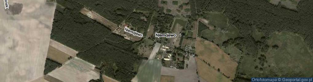 Zdjęcie satelitarne Niemojewo ul.