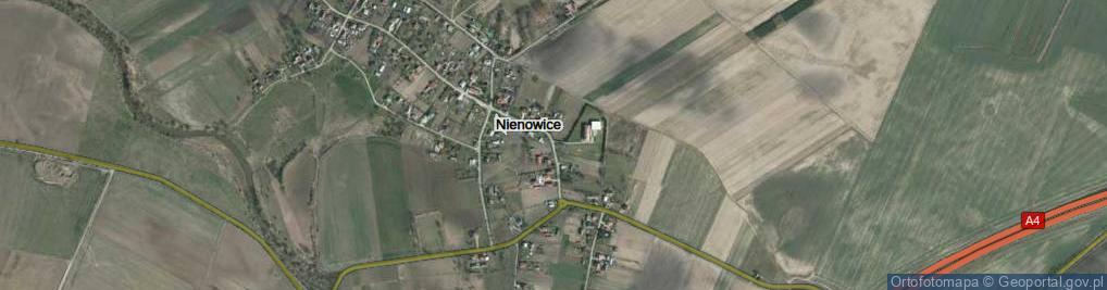 Zdjęcie satelitarne Nienowice ul.