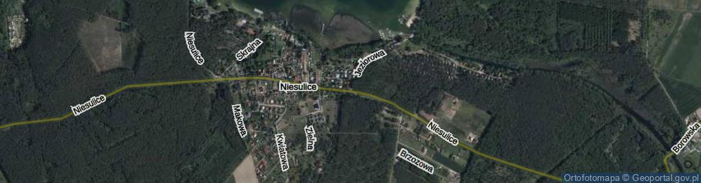 Zdjęcie satelitarne Niesulice ul.