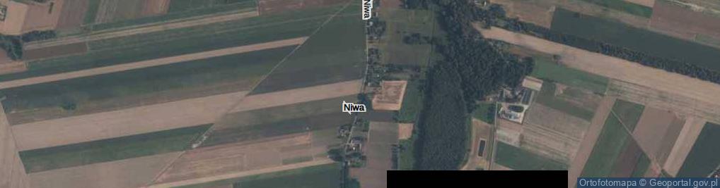 Zdjęcie satelitarne Niwa ul.