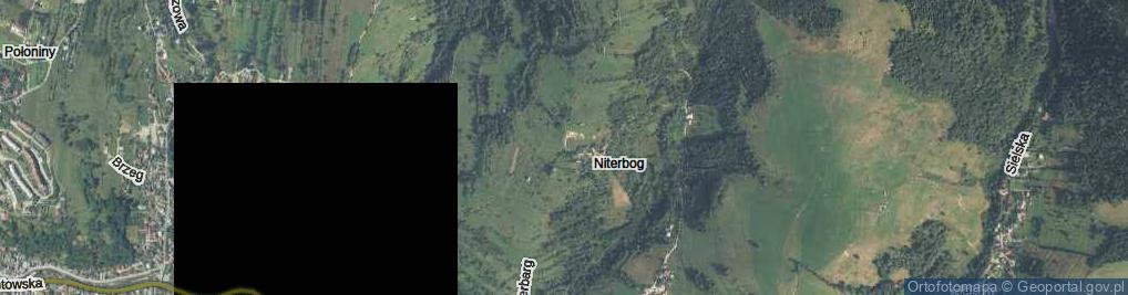 Zdjęcie satelitarne Niterbarg ul.