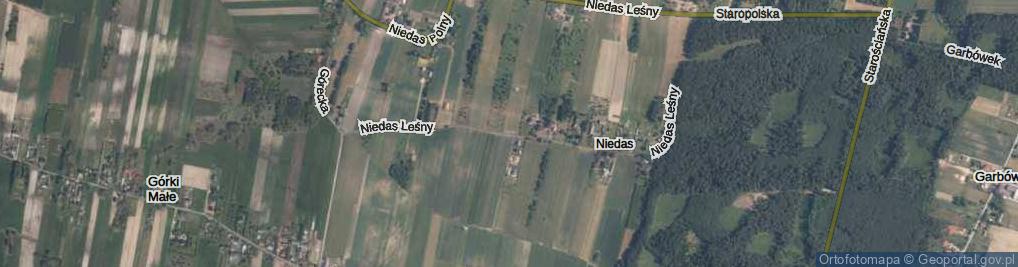 Zdjęcie satelitarne Niedas Leśny ul.