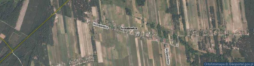 Zdjęcie satelitarne Nosalewice ul.