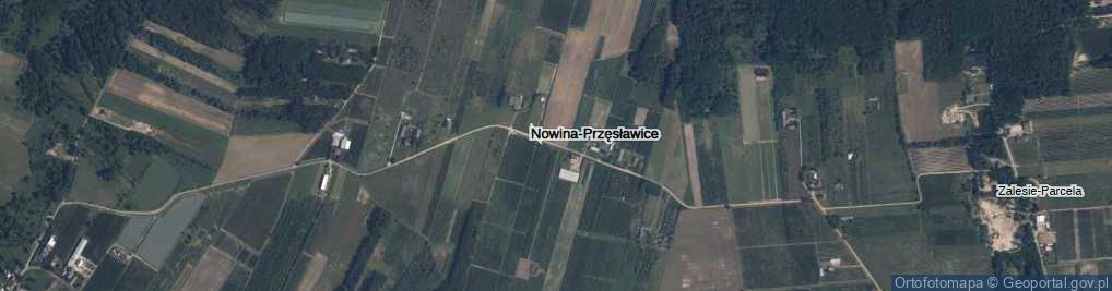 Zdjęcie satelitarne Nowina-Przęsławice ul.
