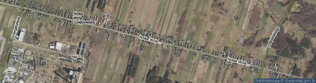 Zdjęcie satelitarne Nowa Wola Gołębiowska ul.