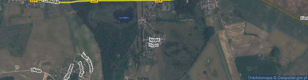 Zdjęcie satelitarne Nygut ul.