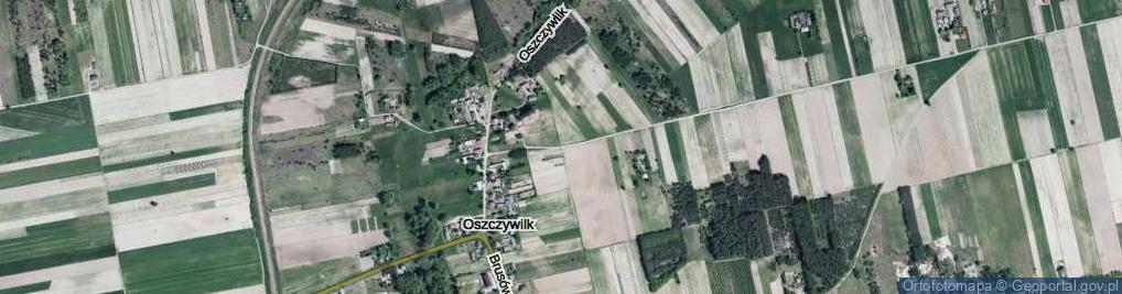 Zdjęcie satelitarne Ogonów ul.
