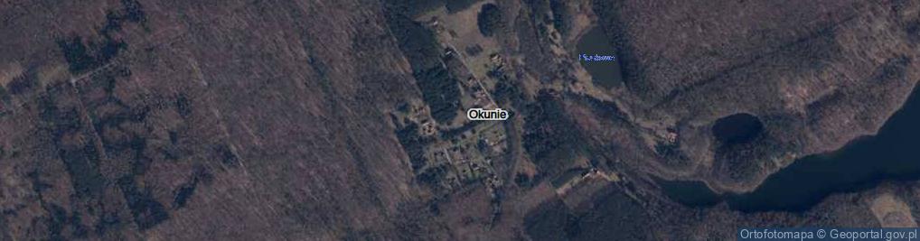 Zdjęcie satelitarne Okunie ul.