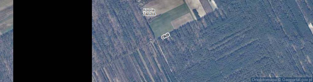 Zdjęcie satelitarne Okół ul.
