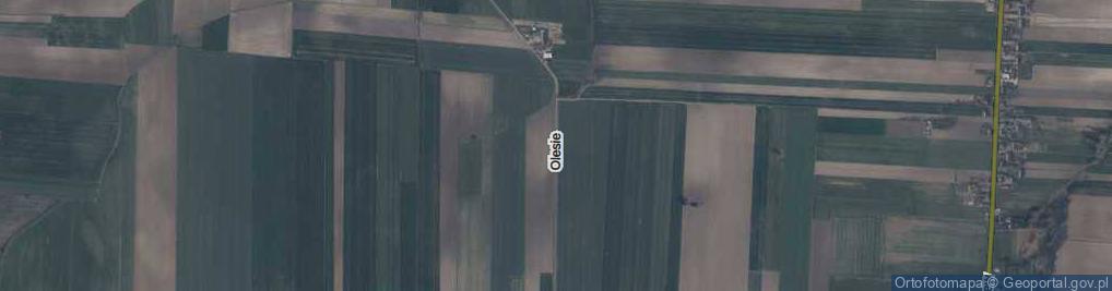 Zdjęcie satelitarne Olesie ul.