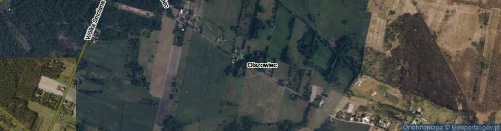 Zdjęcie satelitarne Olszowiec ul.