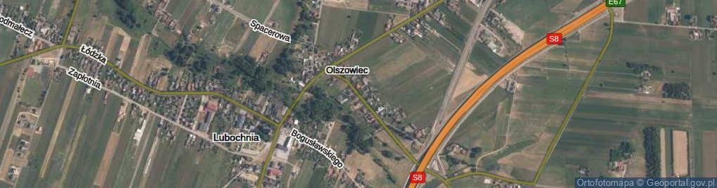 Zdjęcie satelitarne Olszowiec ul.