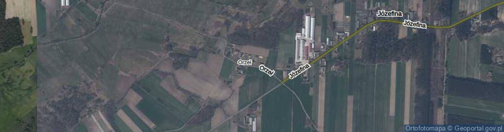 Zdjęcie satelitarne Orzeł ul.