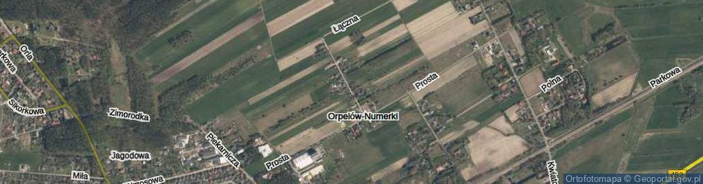 Zdjęcie satelitarne Orpelów-Numerki ul.