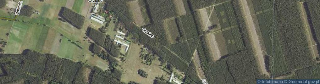 Zdjęcie satelitarne Orzelec ul.