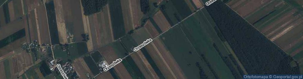 Zdjęcie satelitarne Orzeszówka ul.