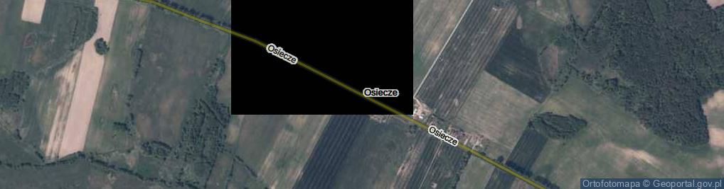 Zdjęcie satelitarne Osiecze ul.