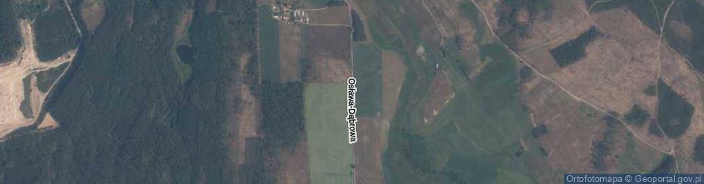Zdjęcie satelitarne Osława-Dąbrowa ul.