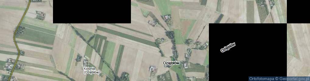 Zdjęcie satelitarne Oziębłów ul.