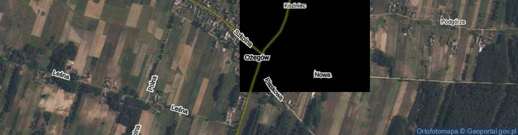 Zdjęcie satelitarne Ożegów ul.