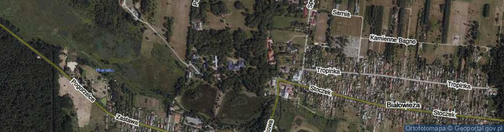 Zdjęcie satelitarne Park Pałacowy park.