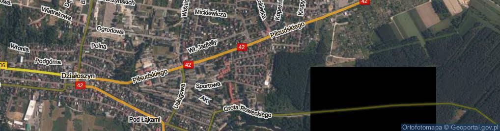 Zdjęcie satelitarne Paderewskiego Ignacego Jana ul.