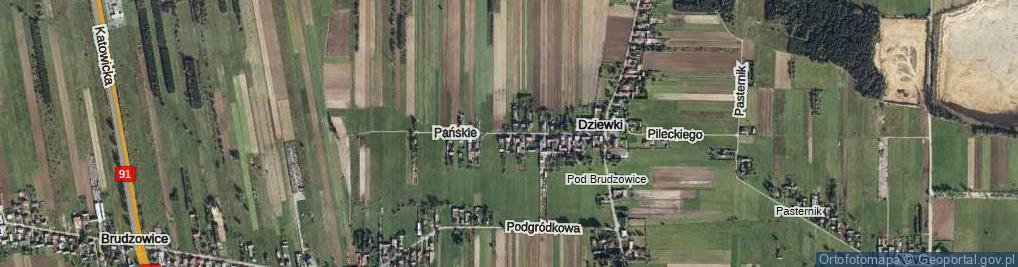 Zdjęcie satelitarne Pańskie ul.