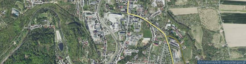 Zdjęcie satelitarne Papiernicza ul.