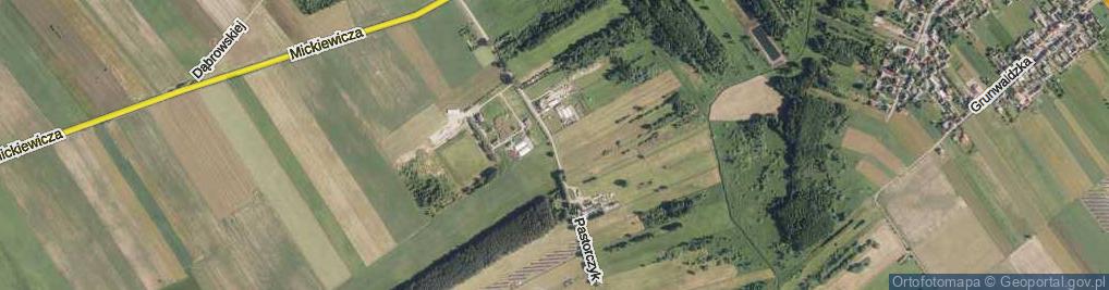 Zdjęcie satelitarne Pastorczyk ul.