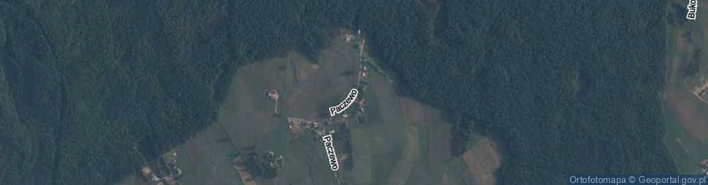 Zdjęcie satelitarne Paczewo ul.