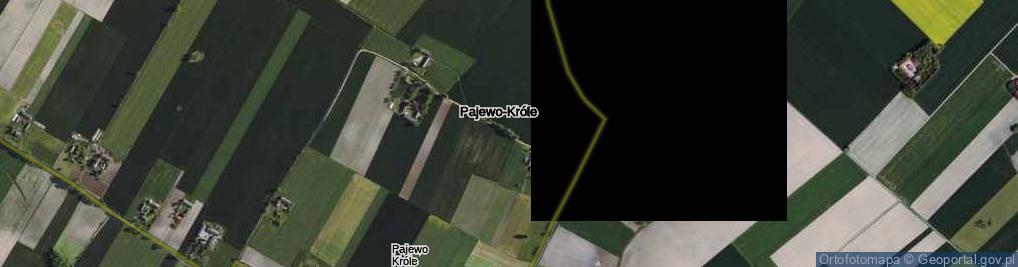 Zdjęcie satelitarne Pajewo-Króle ul.