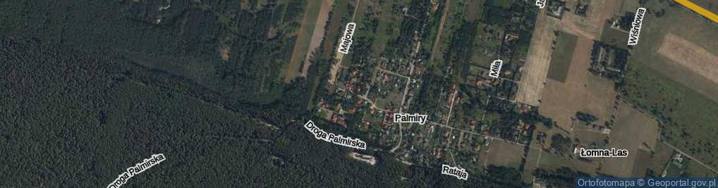 Zdjęcie satelitarne Palmiry ul.