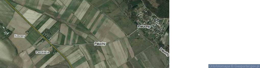 Zdjęcie satelitarne Paluchy ul.