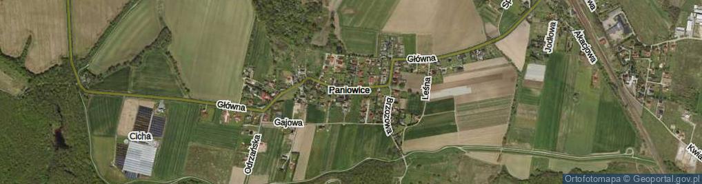 Zdjęcie satelitarne Paniowice ul.