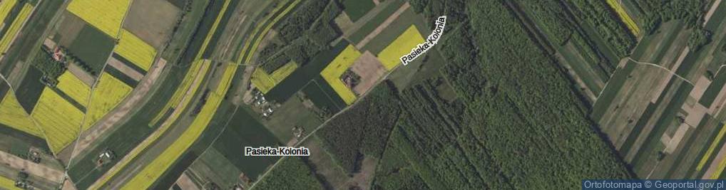 Zdjęcie satelitarne Pasieka-Kolonia ul.
