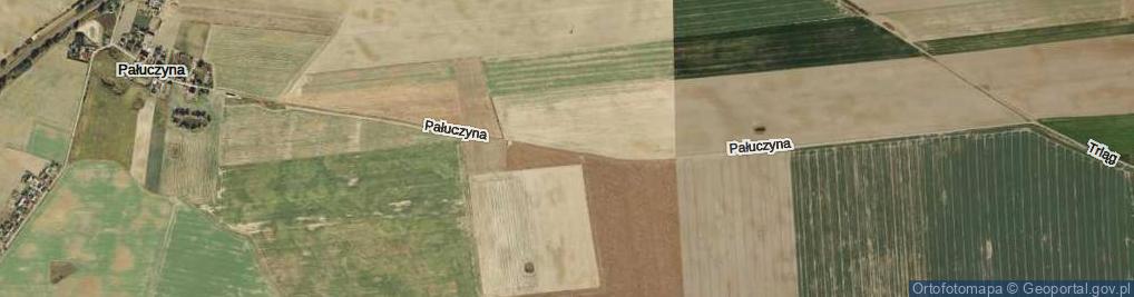 Zdjęcie satelitarne Pałuczyna ul.