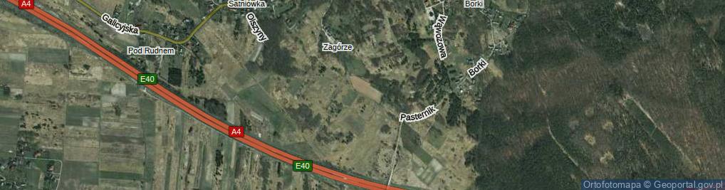 Zdjęcie satelitarne Pasternik ul.