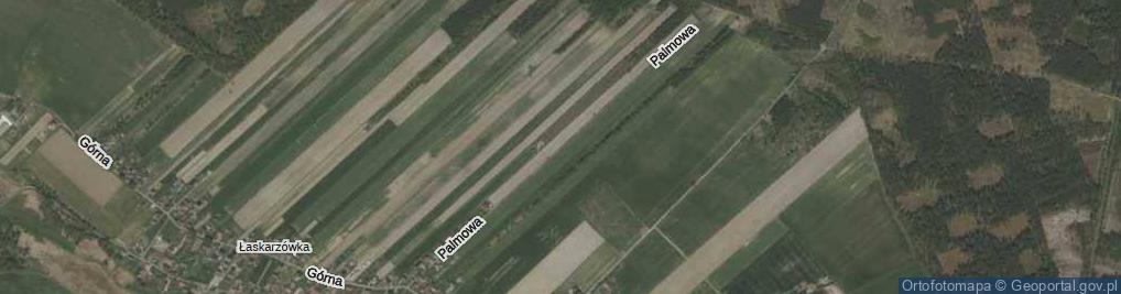 Zdjęcie satelitarne Palmowa ul.
