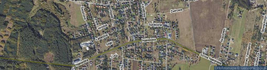 Zdjęcie satelitarne Pawia ul.