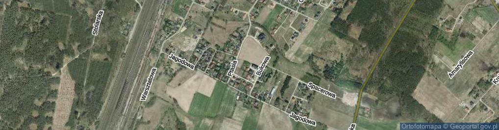 Zdjęcie satelitarne Perkozowa ul.