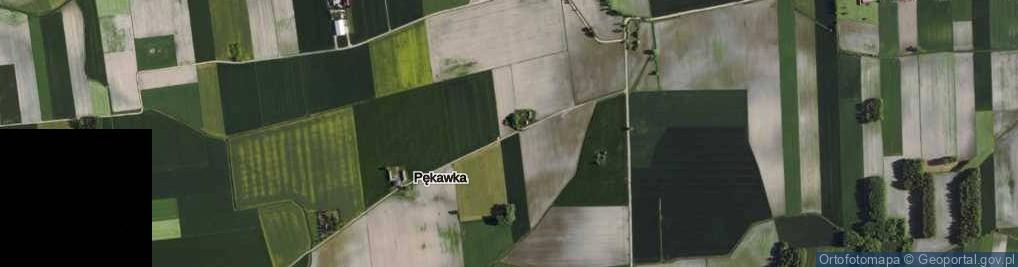Zdjęcie satelitarne Pękawka ul.