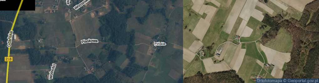 Zdjęcie satelitarne Pińska ul.