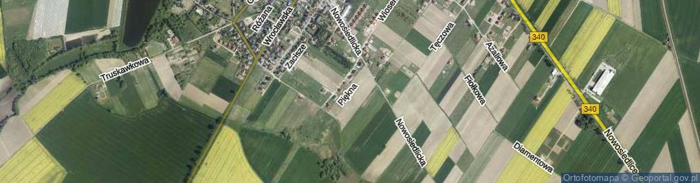 Zdjęcie satelitarne Piękna ul.