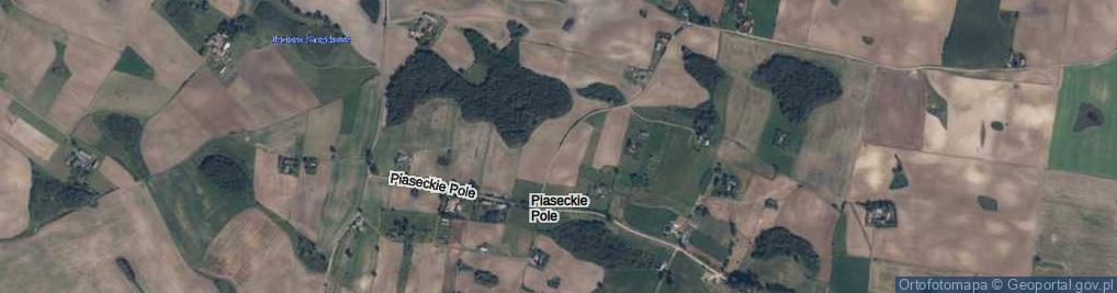 Zdjęcie satelitarne Piaseckie Pole ul.