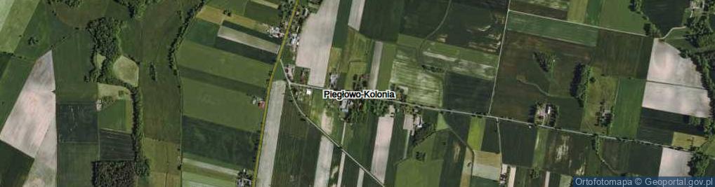 Zdjęcie satelitarne Piegłowo-Kolonia ul.